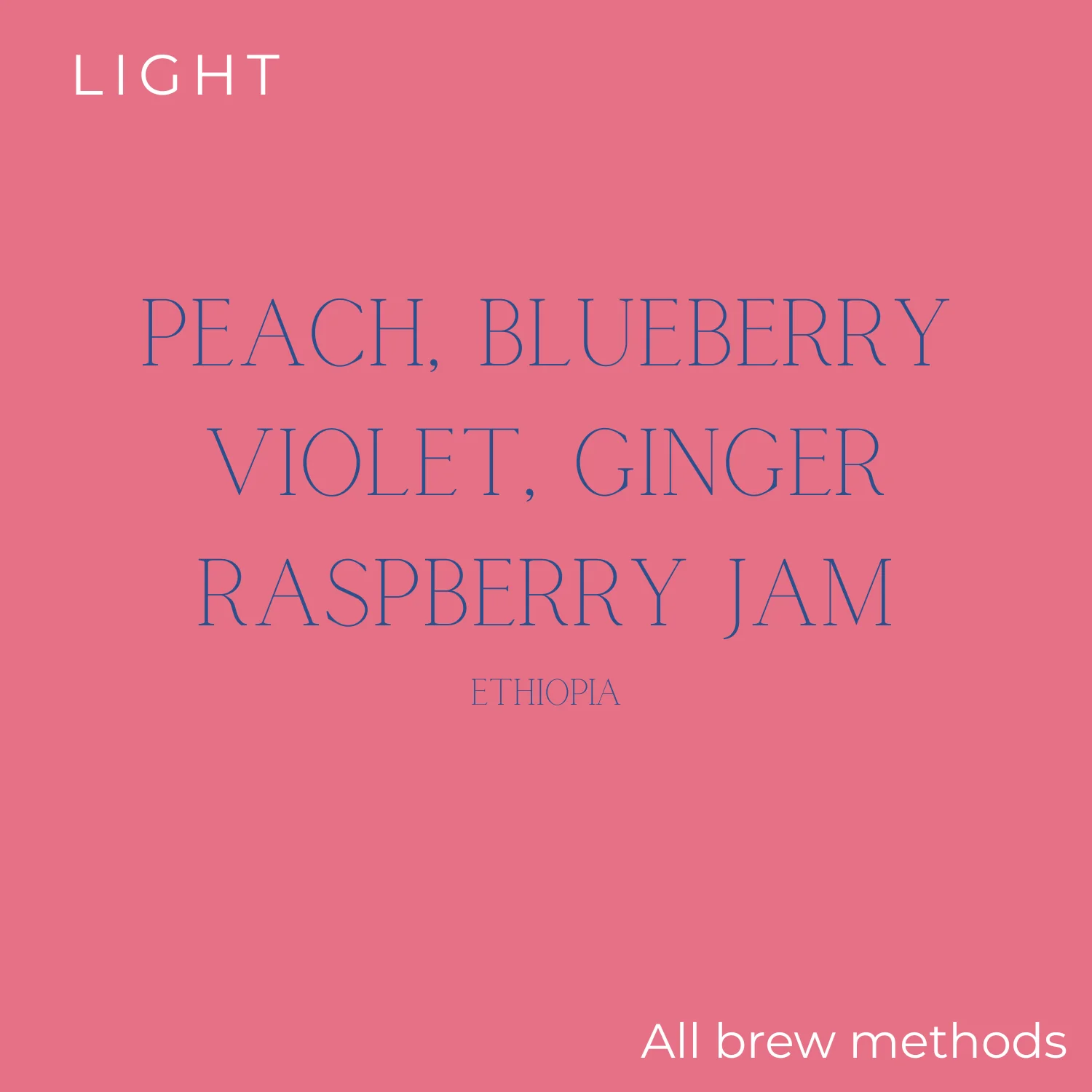 Rogue Wave Coffee Roasters Rogue Wave - Ethiopia - Bekele Yutute Coffee Beans - Image 2